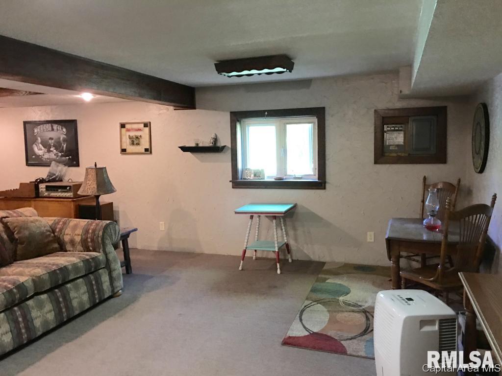 17561 Old Fairgrounds Road Petersburg, IL 62675 - Photo 29 of 33 Gallery Image 29