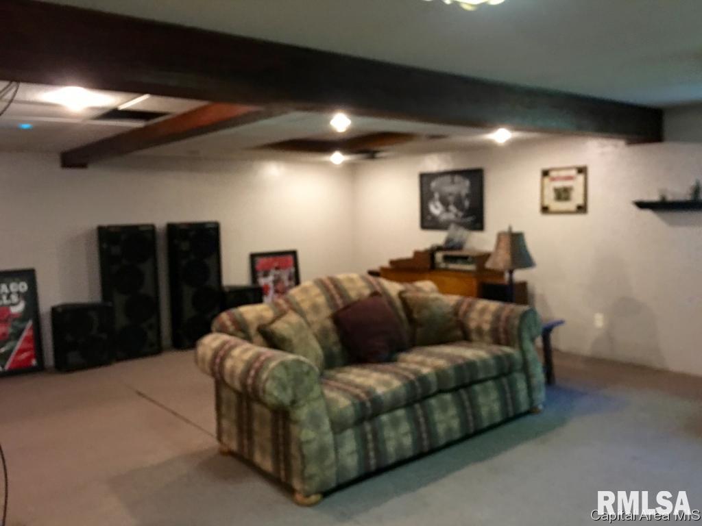 17561 Old Fairgrounds Road Petersburg, IL 62675 - Photo 31 of 33 Gallery Image 31
