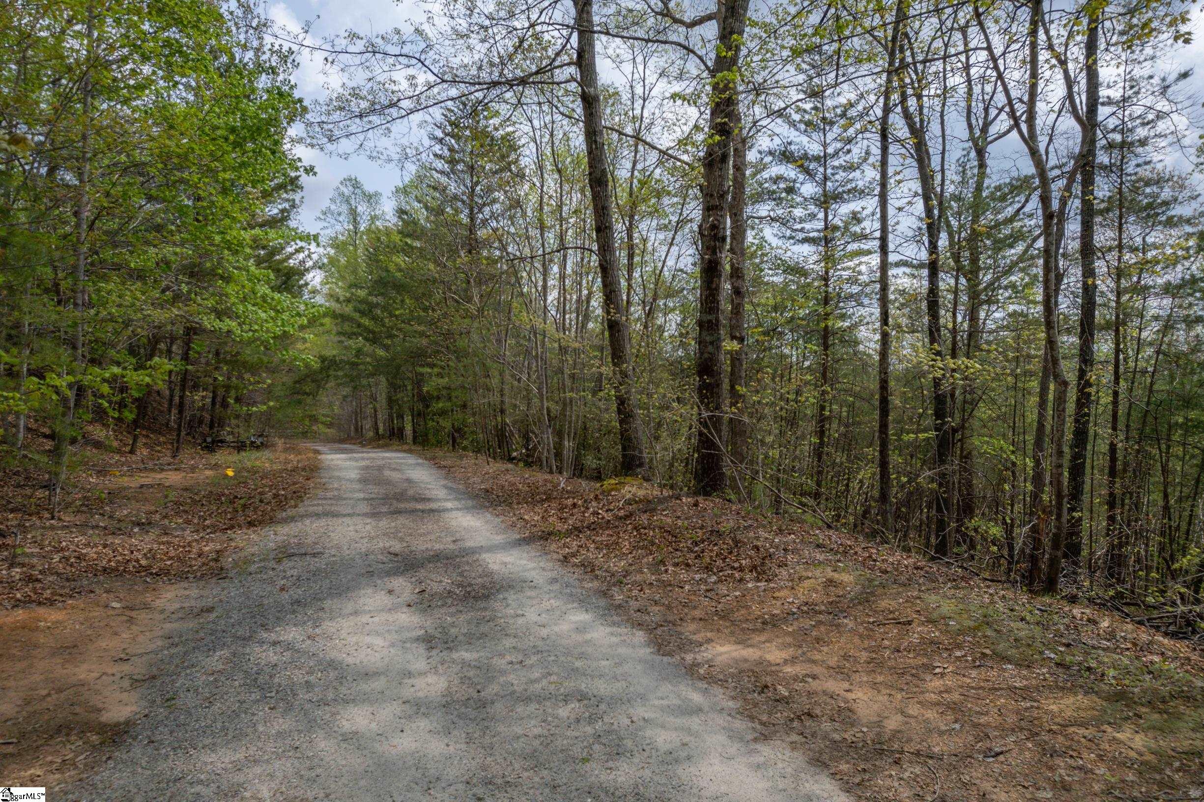 0 Caledonia Road Landrum, SC 29356 - Photo 1 of 15