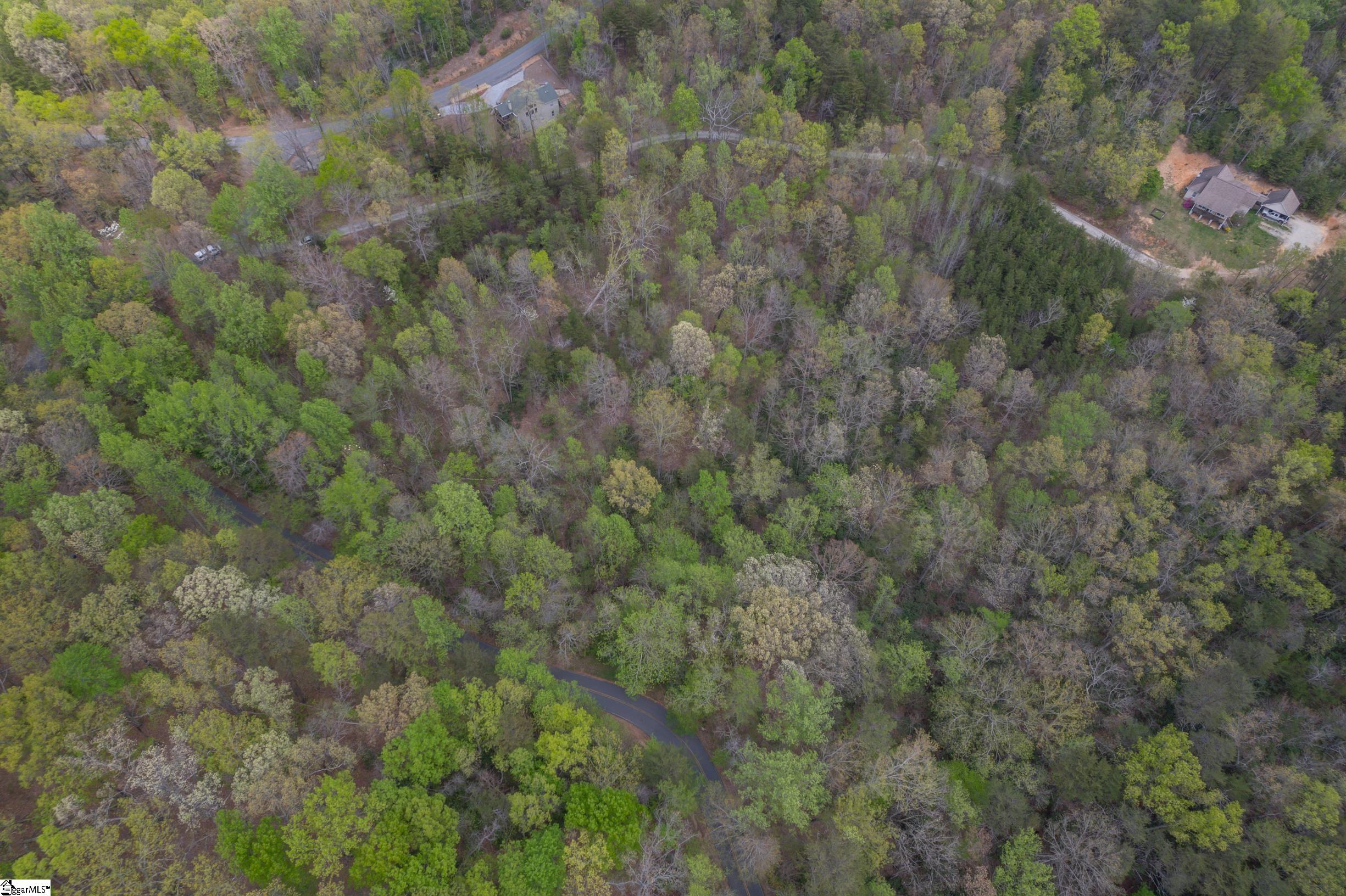 0 Caledonia Road Landrum, SC 29356 - Photo 11 of 15