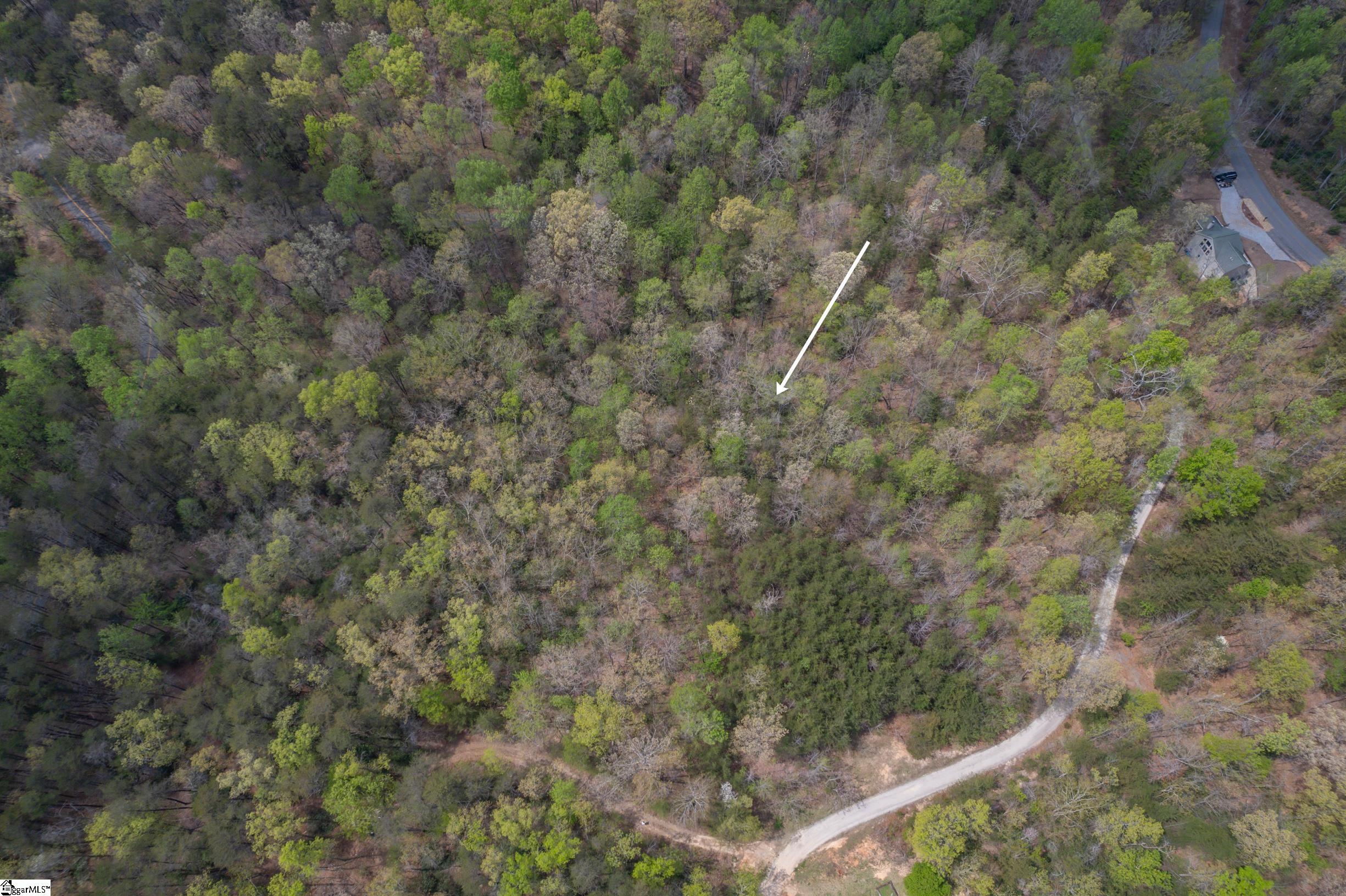 0 Caledonia Road Landrum, SC 29356 - Photo 13 of 15