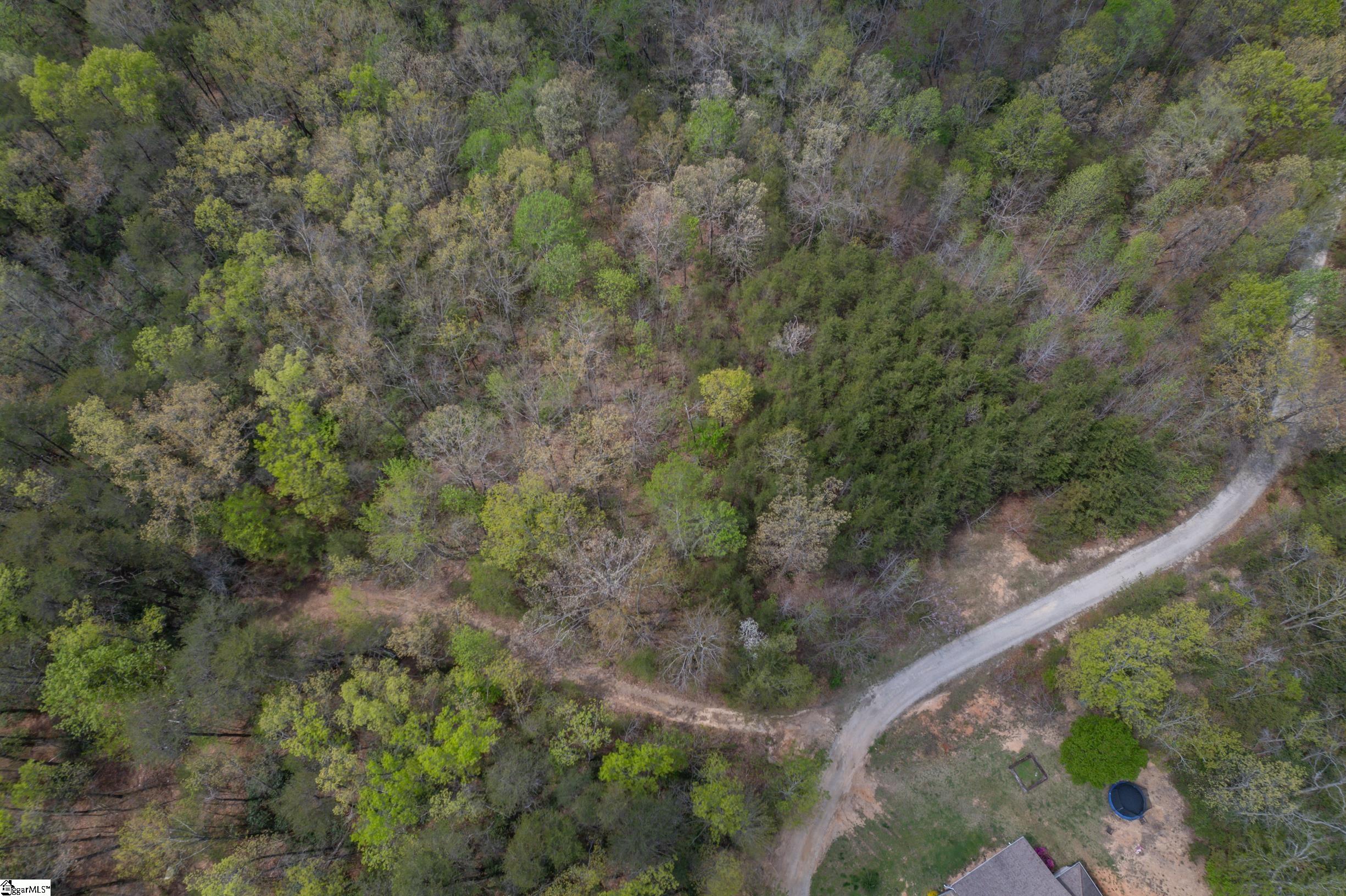 0 Caledonia Road Landrum, SC 29356 - Photo 14 of 15