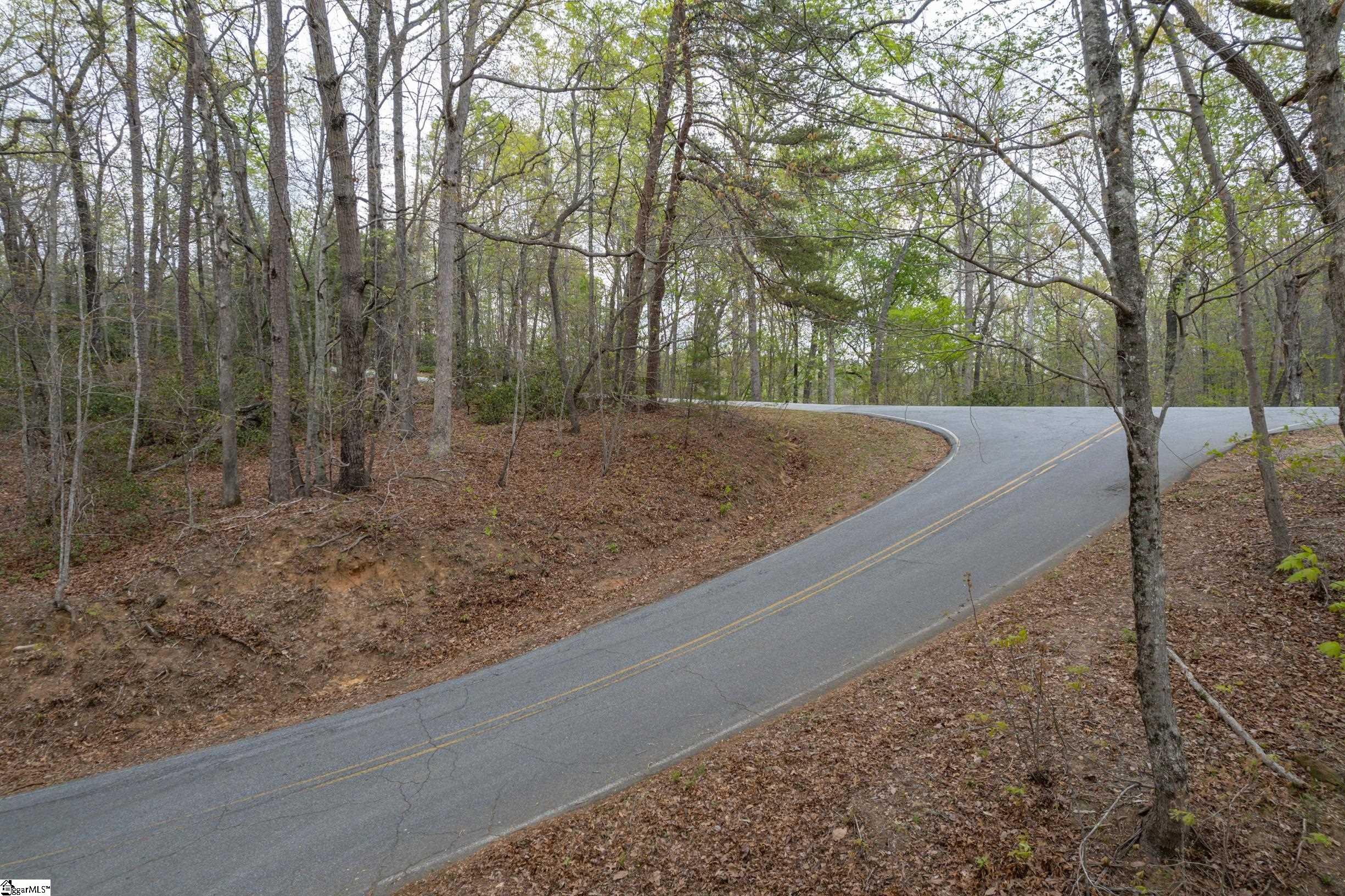0 Caledonia Road Landrum, SC 29356 - Photo 3 of 15