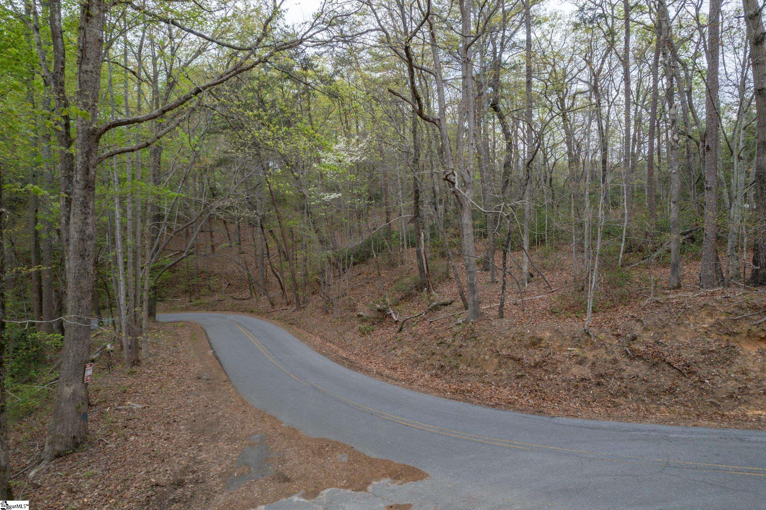 0 Caledonia Road Landrum, SC 29356 - Photo 4 of 15