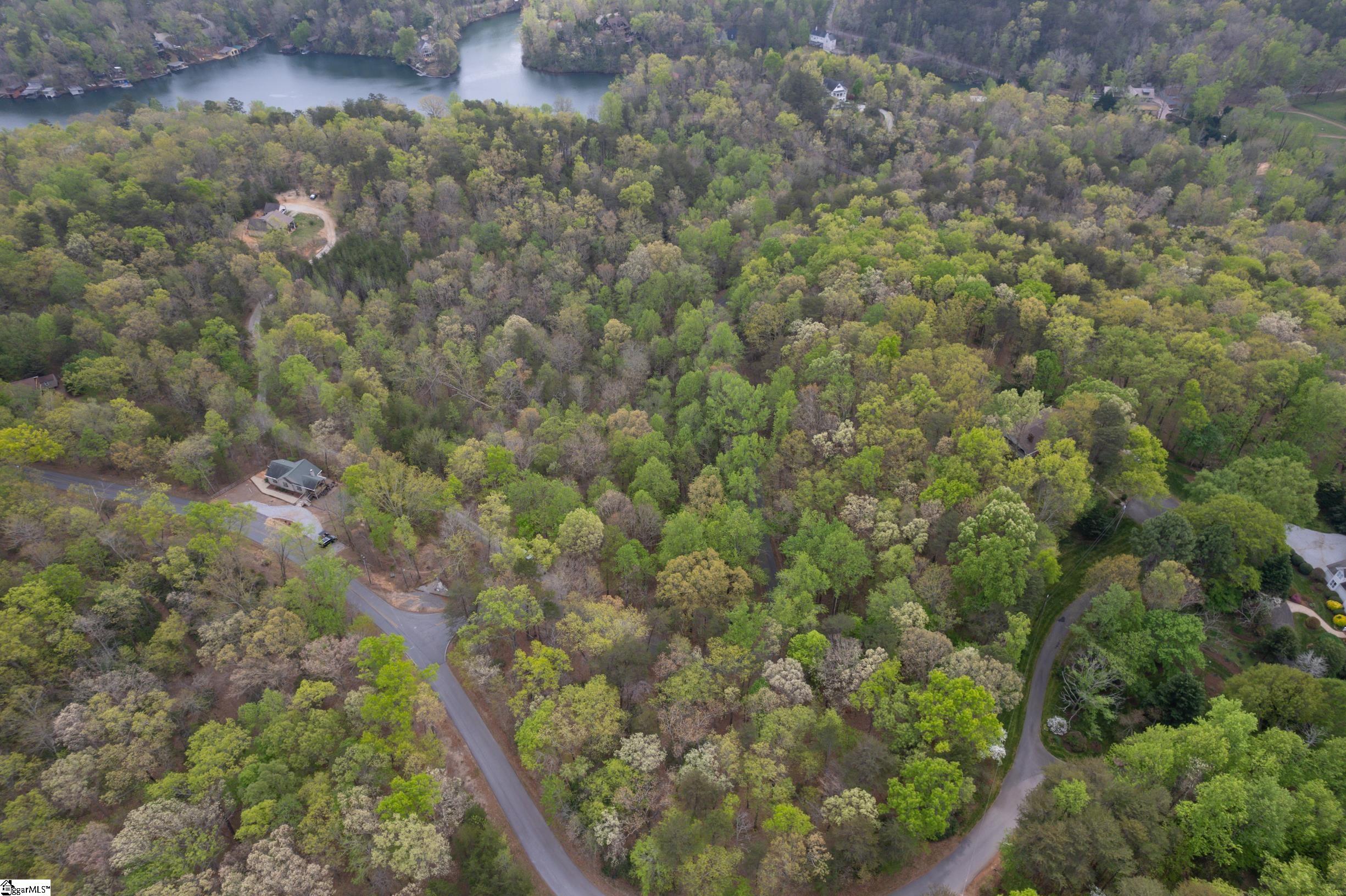 0 Caledonia Road Landrum, SC 29356 - Photo 6 of 15