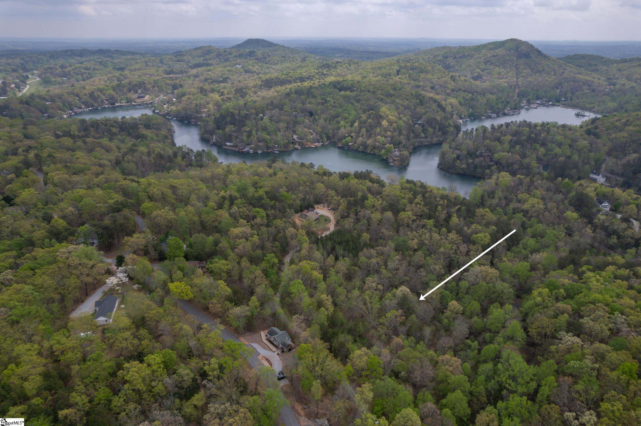 0 Caledonia Road Landrum, SC 29356 - Photo 7 of 15