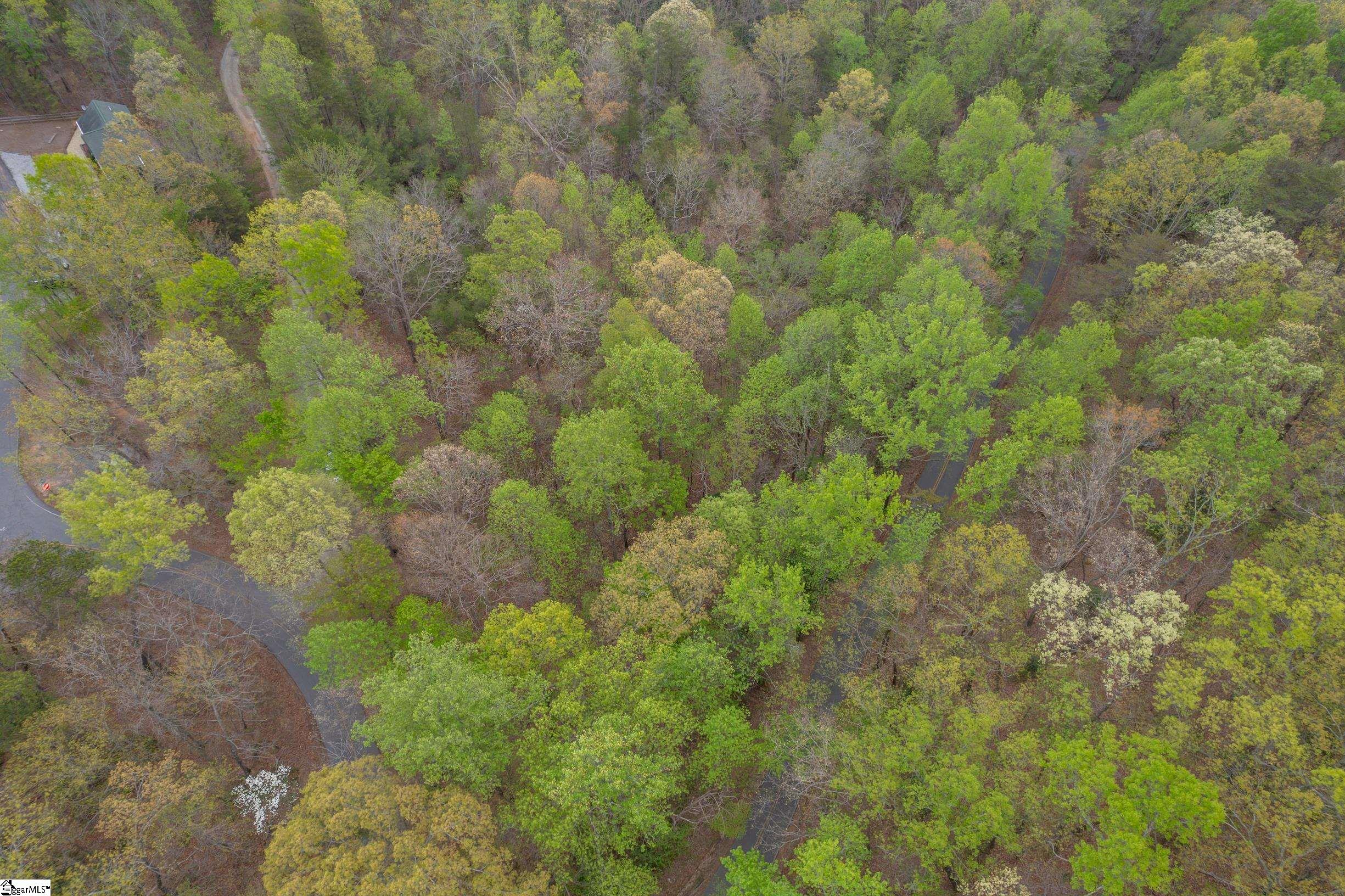 0 Caledonia Road Landrum, SC 29356 - Photo 8 of 15