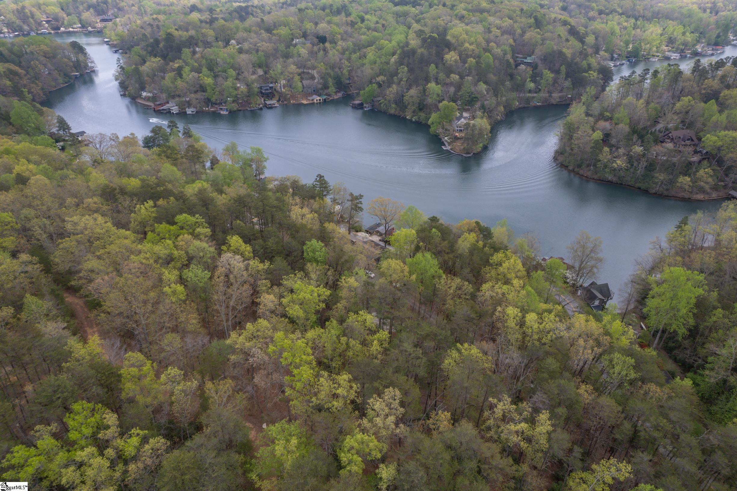 0 Caledonia Road Landrum, SC 29356 - Photo 9 of 15