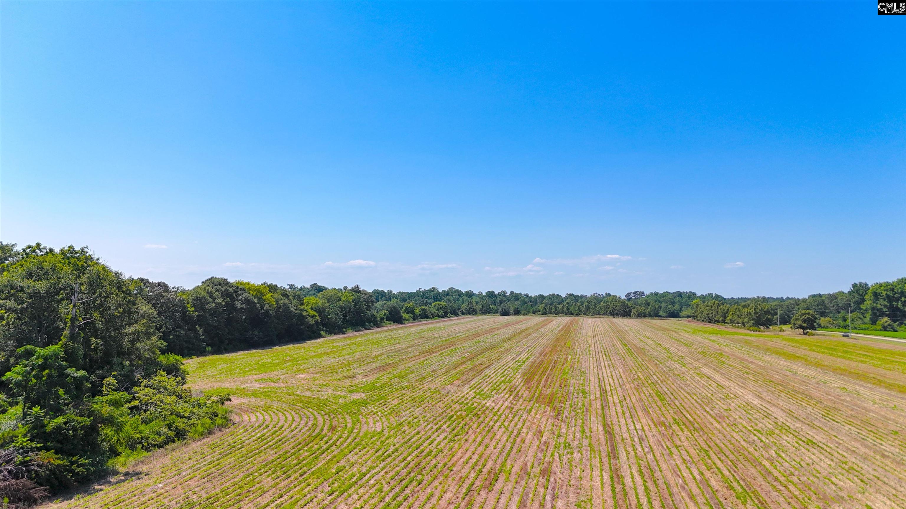 0 Joes Trail Road Monetta, SC 29105 - Photo 3 of 11