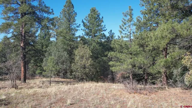 $269,900 | 3169 Meadows Drive, Pagosa Springs, CO 81147