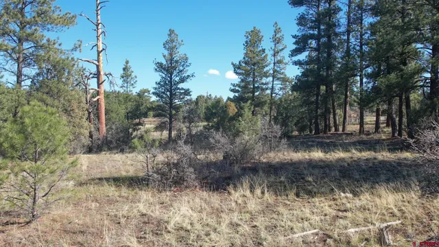 $269,900 | 3169 Meadows Drive, Pagosa Springs, CO 81147