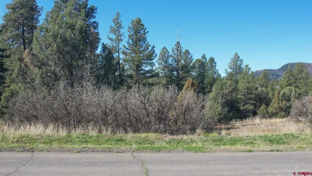 $269,900 | 3169 Meadows Drive, Pagosa Springs, CO 81147