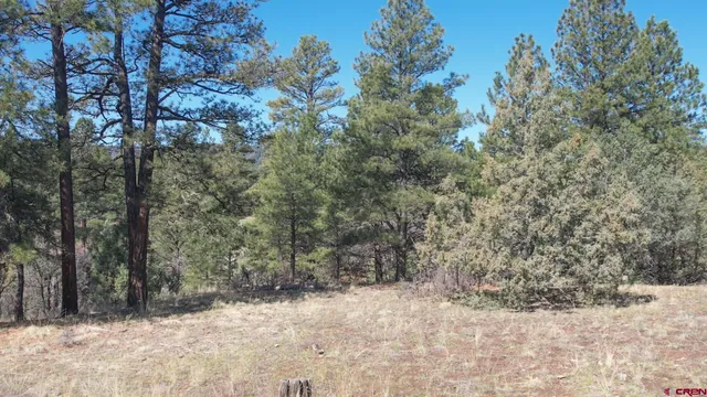 $269,900 | 3169 Meadows Drive, Pagosa Springs, CO 81147