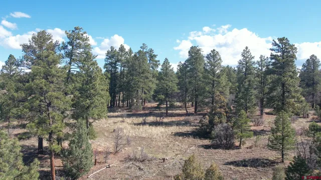 $269,900 | 3169 Meadows Drive, Pagosa Springs, CO 81147