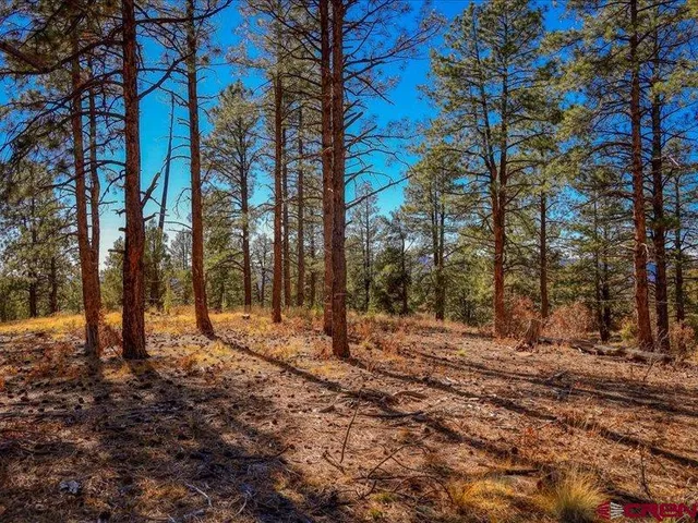 $290,000 | 1231 Ranchland Drive, Pagosa Springs, CO 81147