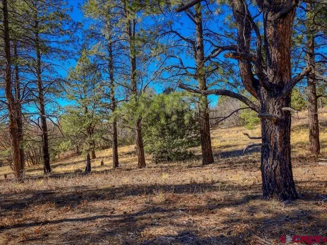 $290,000 | 1231 Ranchland Drive, Pagosa Springs, CO 81147