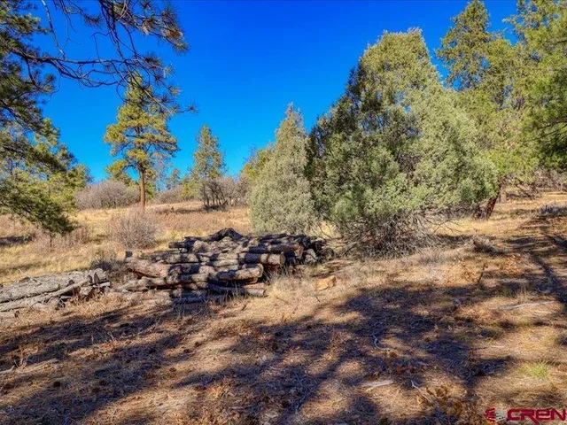 $290,000 | 1231 Ranchland Drive, Pagosa Springs, CO 81147