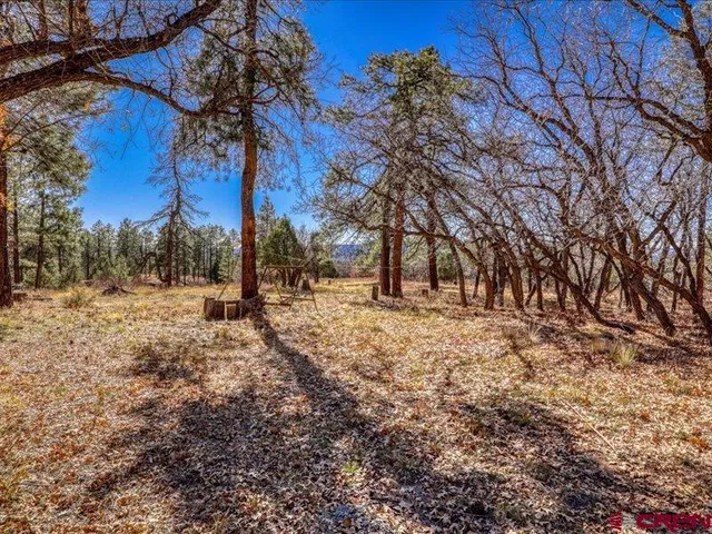 $290,000 | 1231 Ranchland Drive, Pagosa Springs, CO 81147