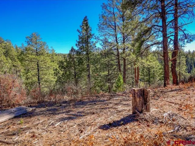 $290,000 | 1231 Ranchland Drive, Pagosa Springs, CO 81147