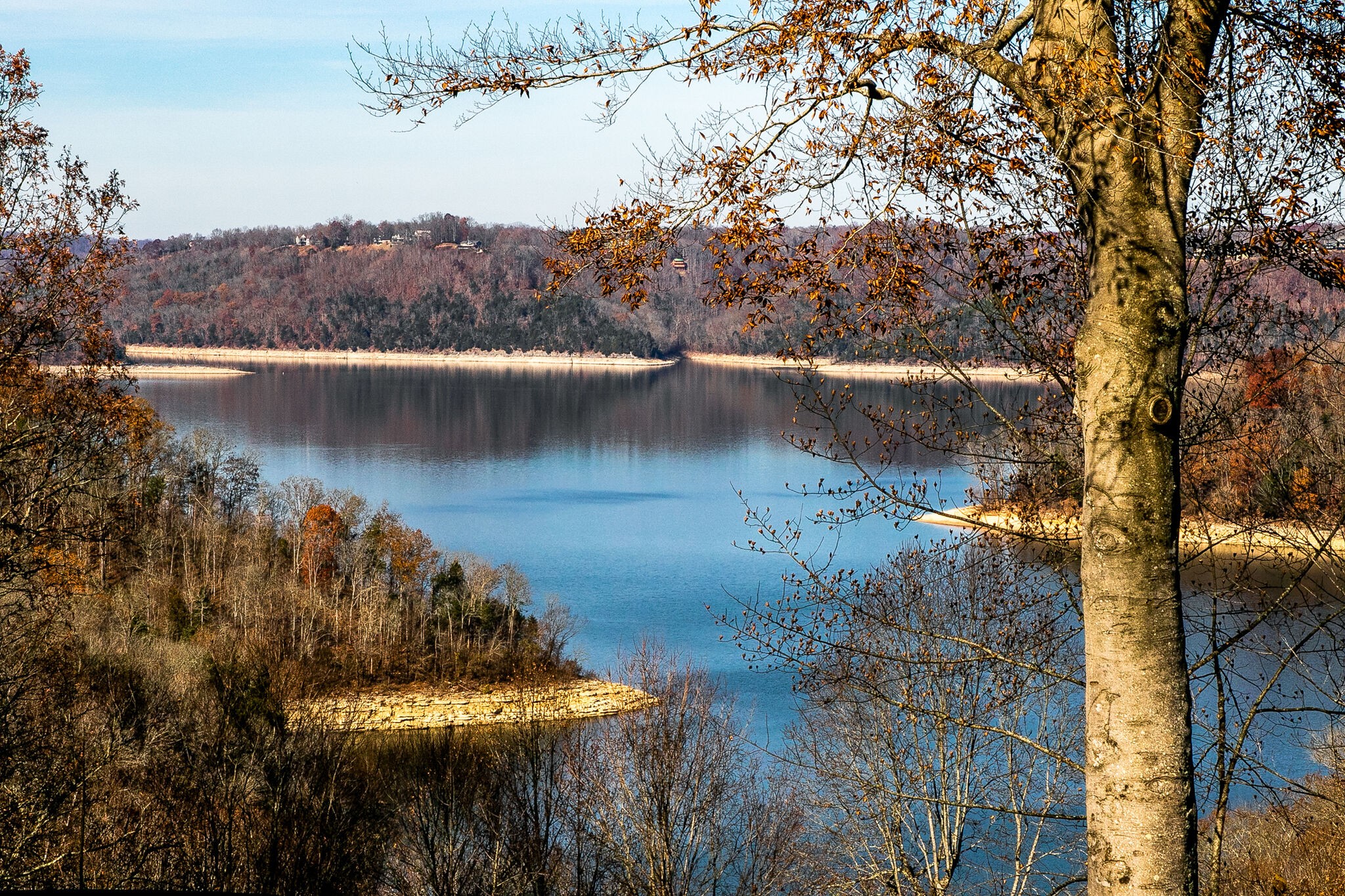 660 Rocky Top Road Sparta, TN 38583 - Photo 3 of 39 a view of a lake in middle of forest