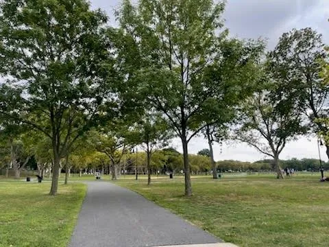 a view of a kids park
