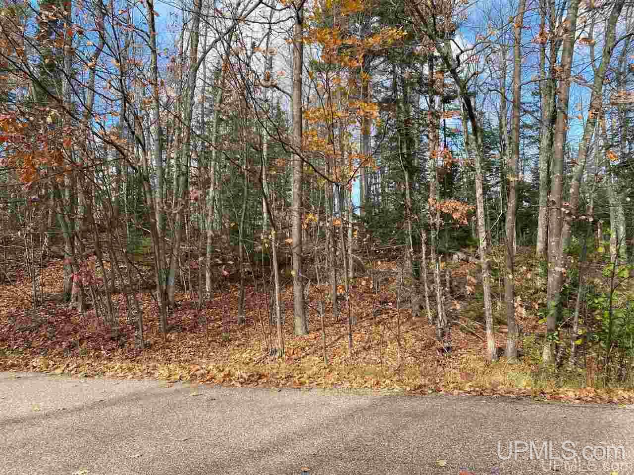 Tbd Lake Enchantment Road, Unit PARCEL 1 Marquette, MI 49855 - Photo 4 of 18