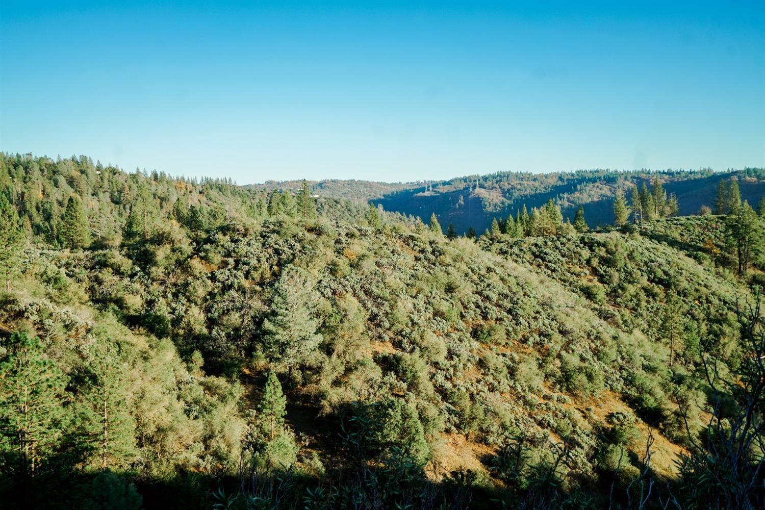 9220 Mule Skinner Road Placerville, CA 95667 - Photo 10 of 15 Gallery Image 10