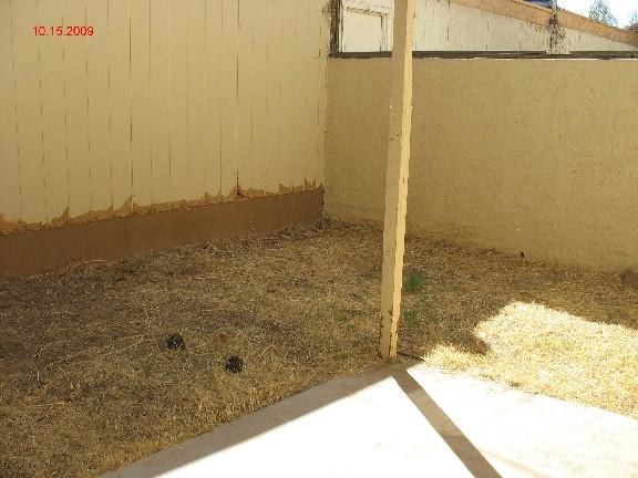 2347 East Cactus Road Phoenix, AZ 85022 - Photo 10 of 10 Backyard