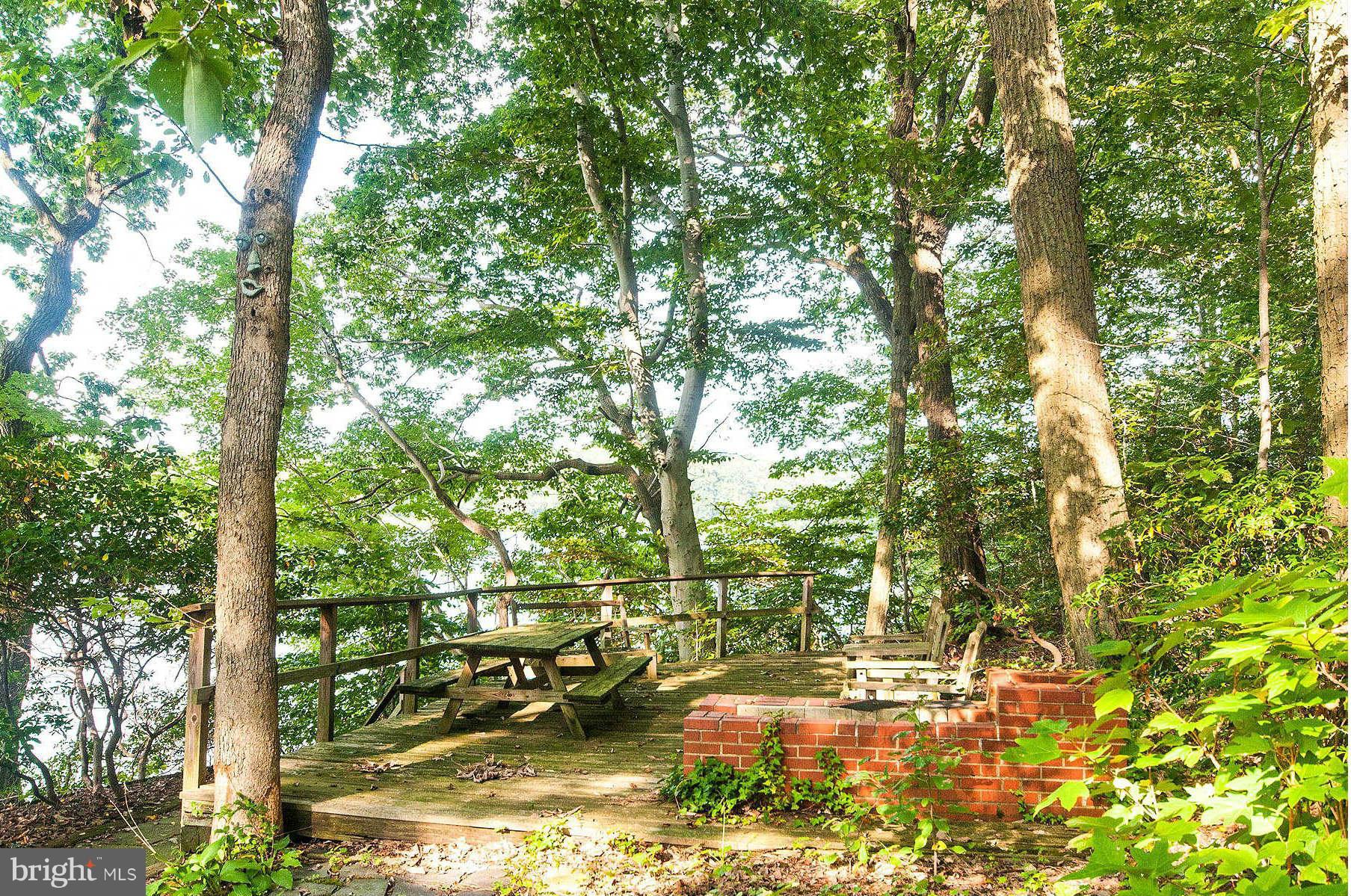 24 Woodmour Manor Road Earleville, MD 21919 - Photo 26 of 30 Deck with Views, Fire Pit, Water & Electric