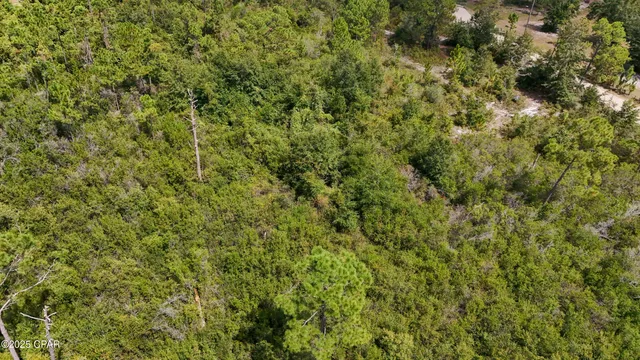 $25,000 | 9129 Ibis Lane, Youngstown, FL 32466