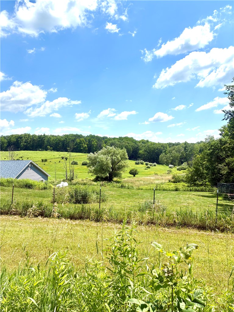 4758 Tucker Road Thurston, NY 14821 - Photo 4 of 42
