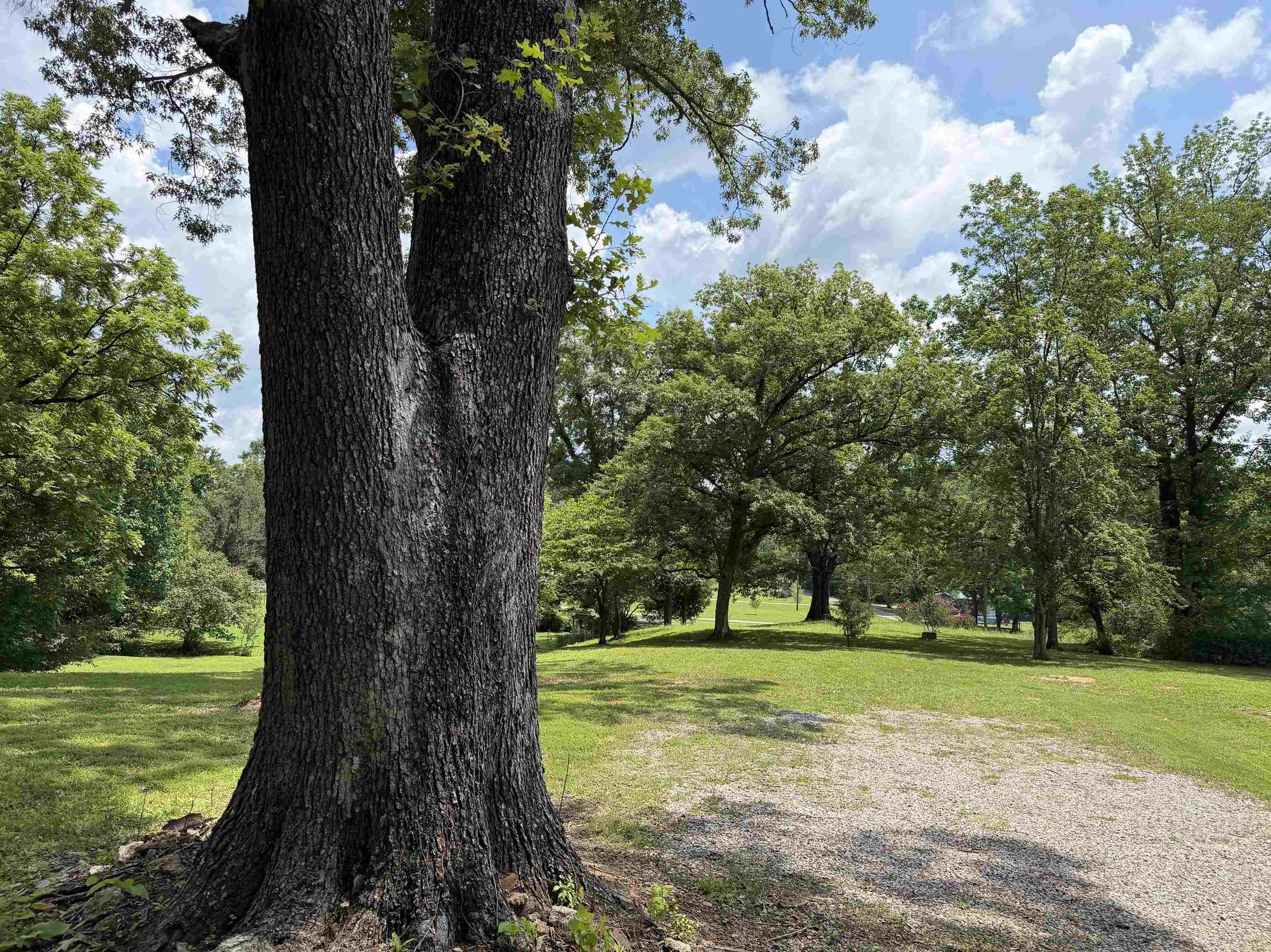185 Poplar Springs Road Savannah, TN 38372 - Photo 35 of 40