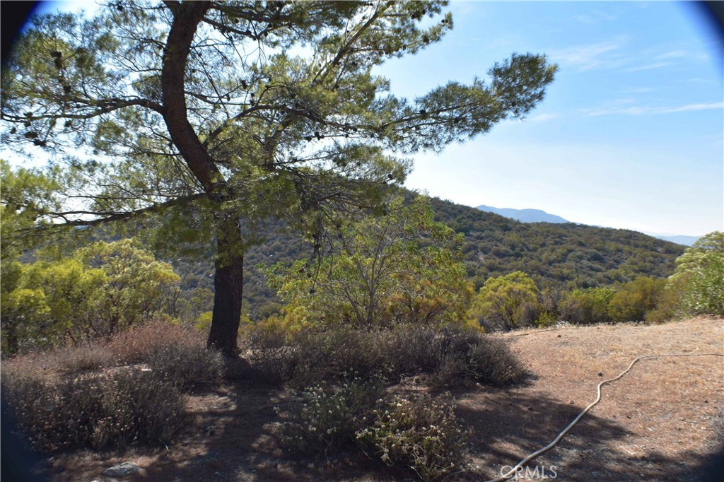 60795 Rimrock Canyon Road Anza, CA 92539 - Photo 21 of 23