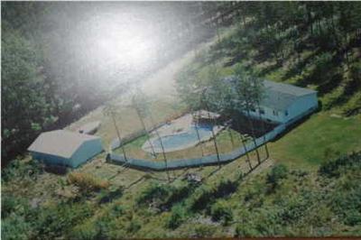 20690 Church Road Howard City, MI 49329 - Photo 1 of 8 Primary Photo