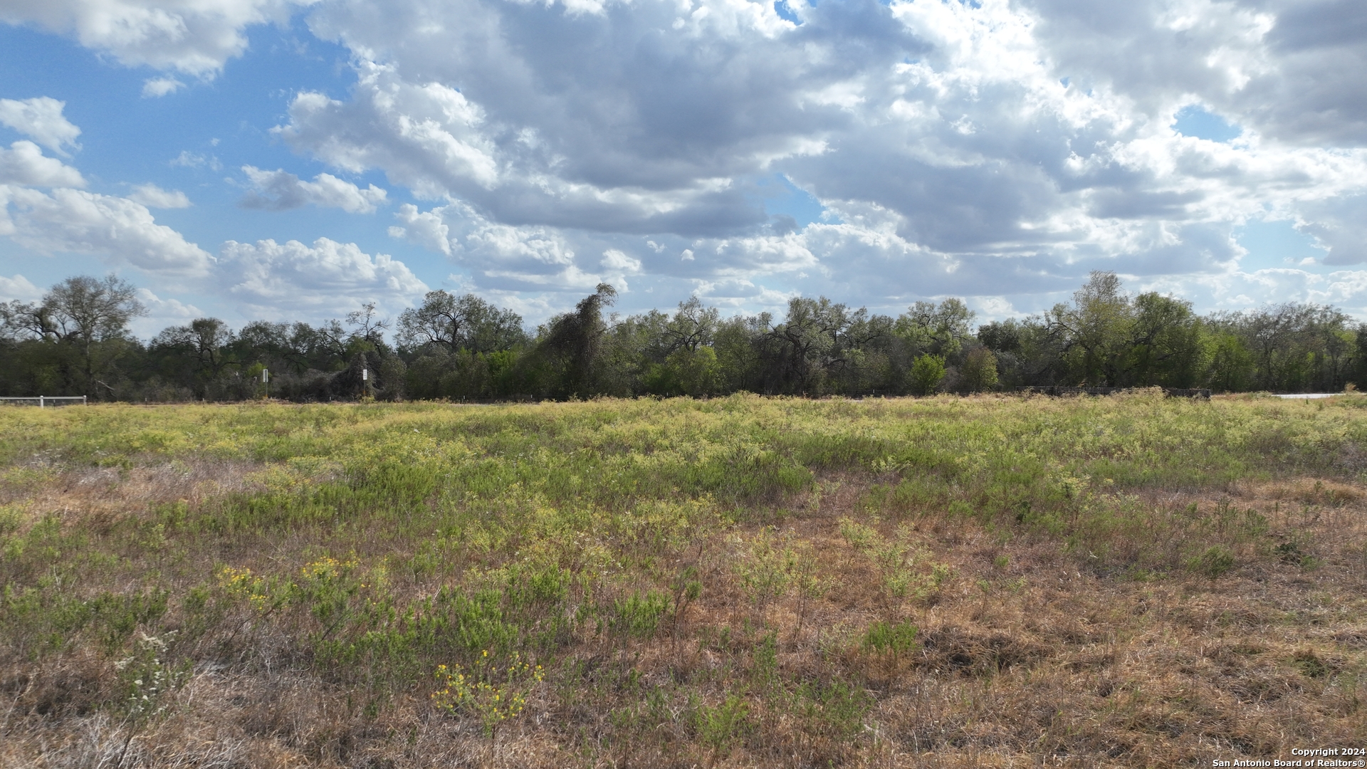 0 Fm 462 Moore, TX 78057 - Photo 8 of 12 a view of a field with trees in the background