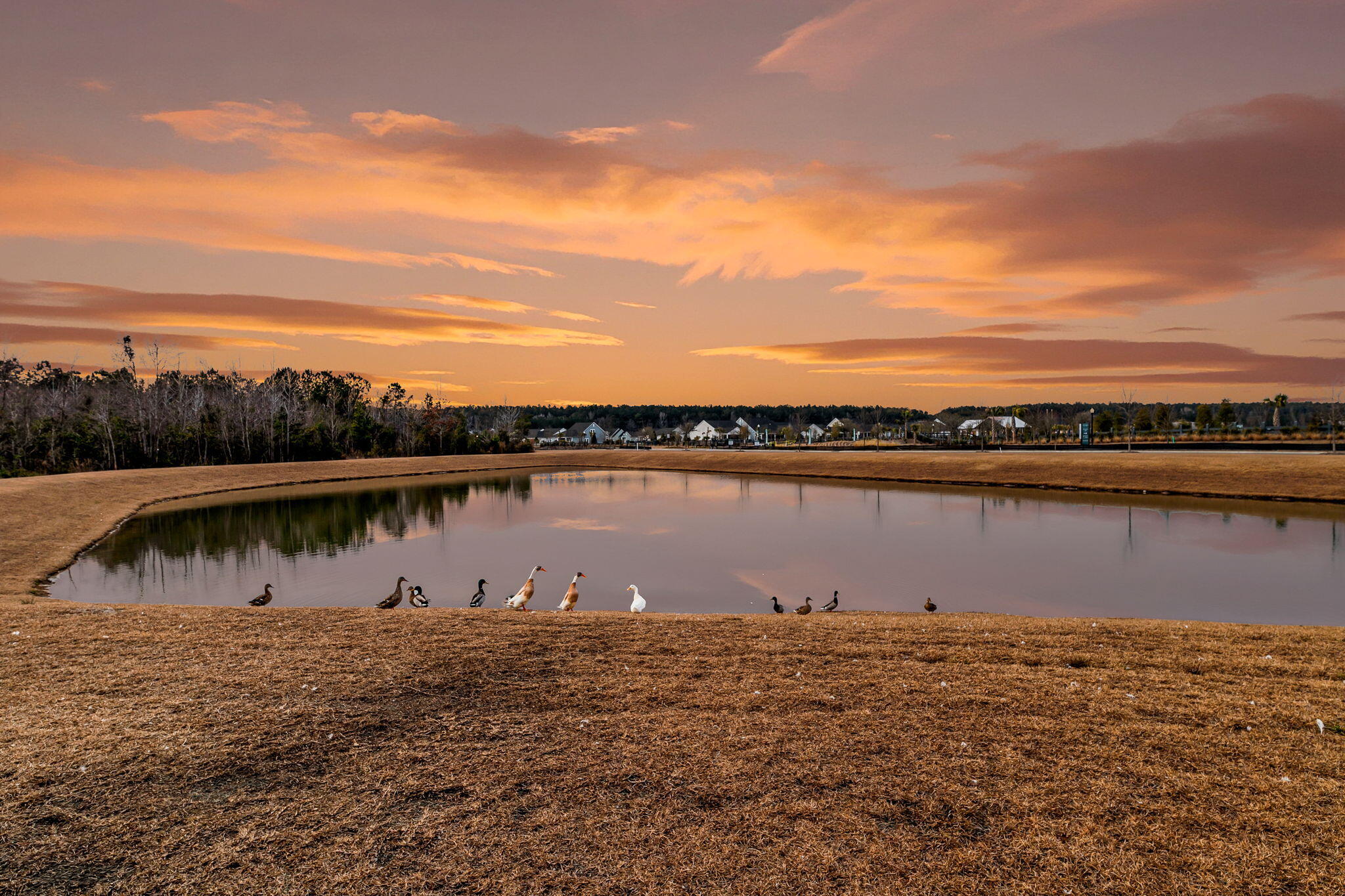 268 Witherspoon Street Summerville, SC 29486 - Photo 43 of 58 CREM - 268 Witherspoon Twilights-7