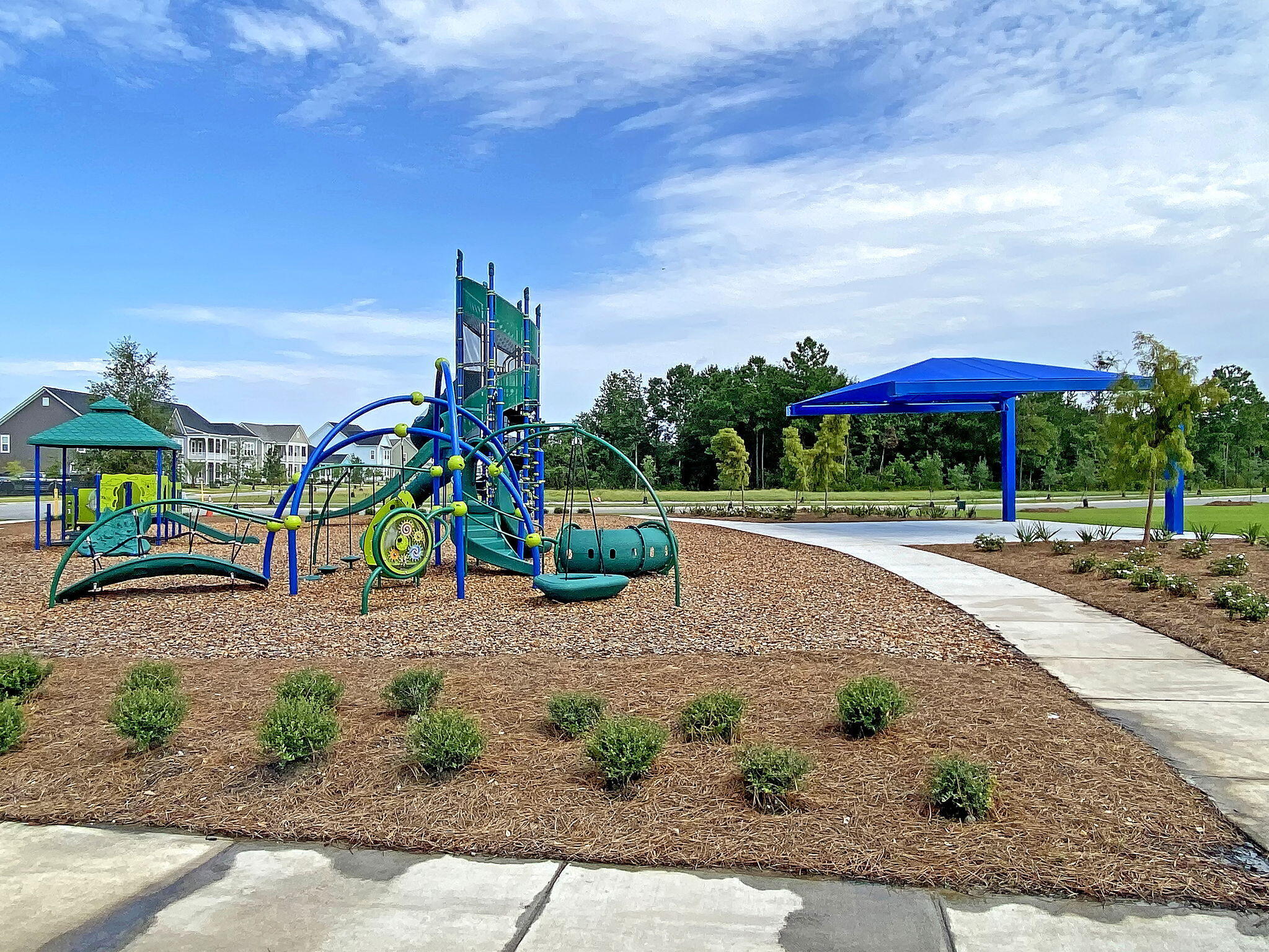 268 Witherspoon Street Summerville, SC 29486 - Photo 48 of 58 CREM_Carnes Crossroads - amenities_002