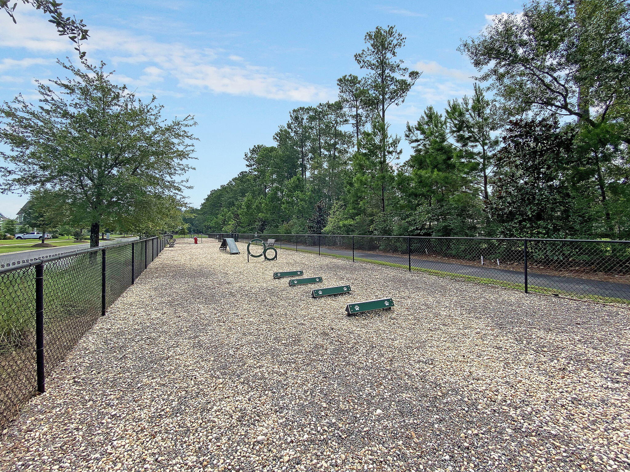 268 Witherspoon Street Summerville, SC 29486 - Photo 50 of 58 CREM_Carnes Crossroads - amenities_004