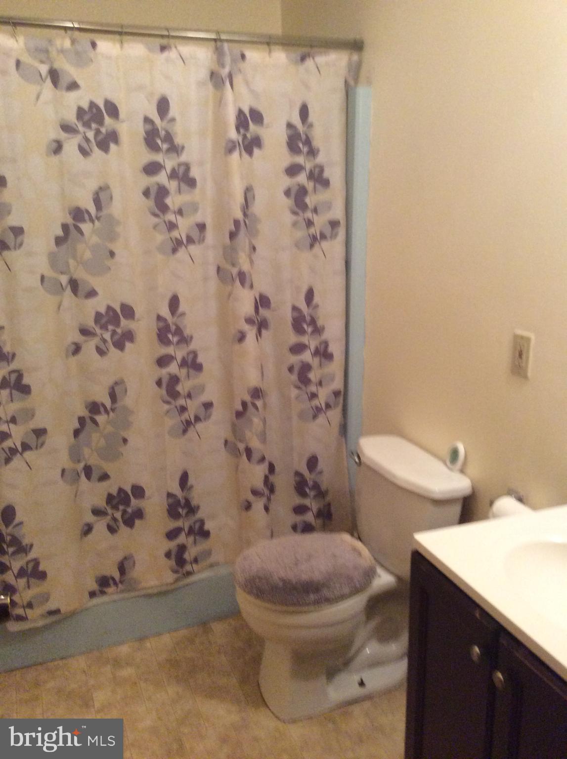 209 North Brownleaf Road Newark, DE 19713 - Photo 26 of 36 Full Bathroom off Family room