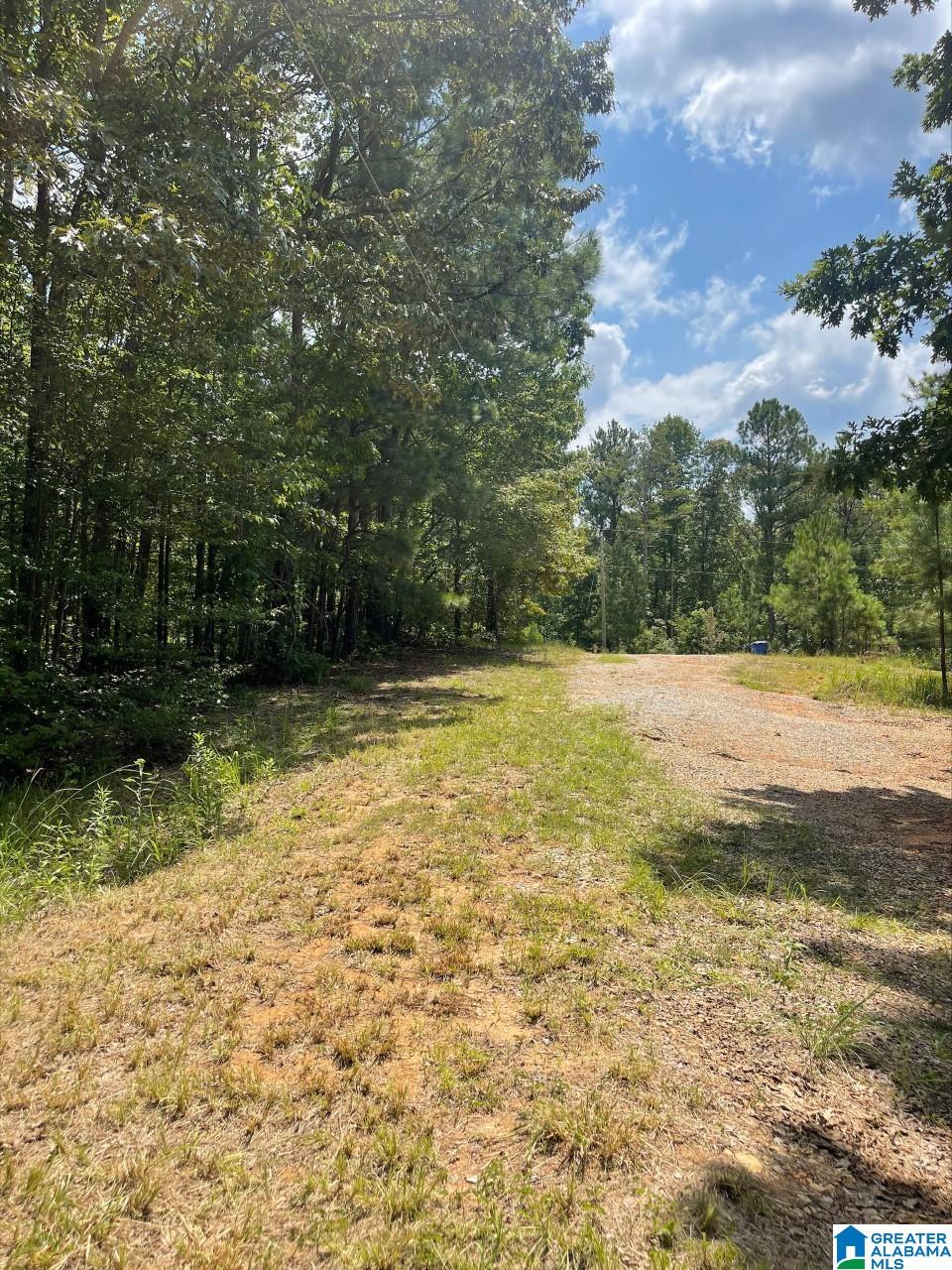 404 Jake Haynes Road Roanoke, AL 36274 - Photo 18 of 18