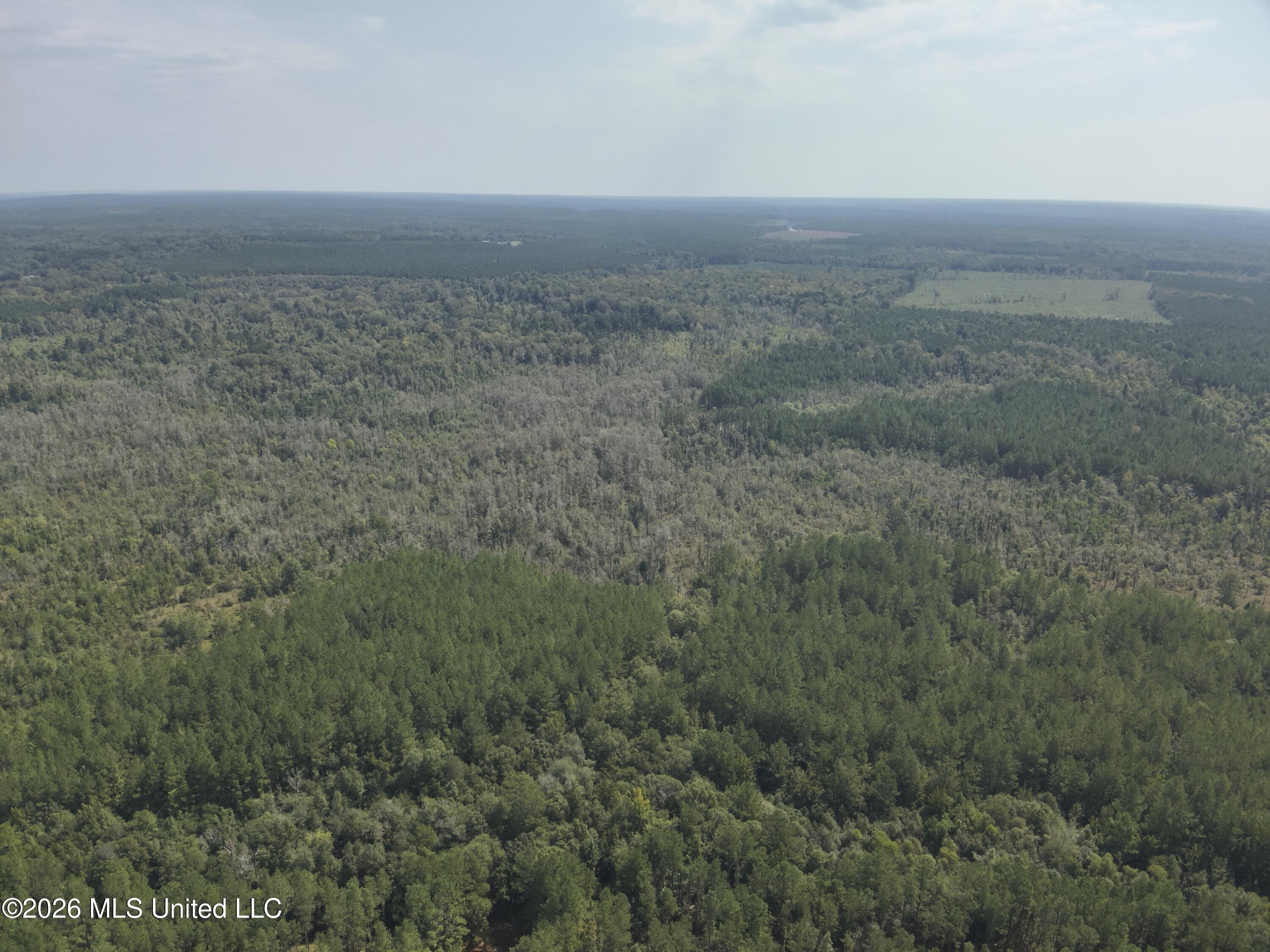 40 J W Jones Road Oak Vale, MS 39656 - Photo 13 of 16 DJI_20260826105342_0023_V