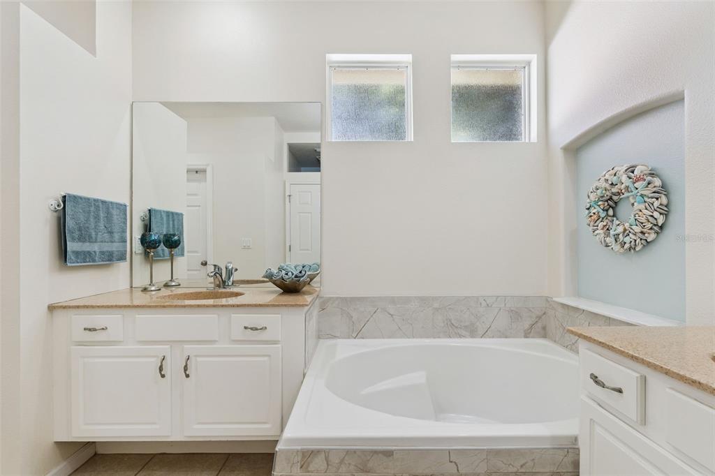 13319 Via Roma Circle Clermont, FL 34711 - Photo 23 of 43 a bathroom with a bathtub sink and mirror