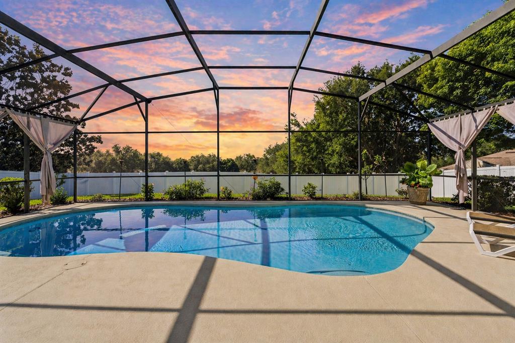 13319 Via Roma Circle Clermont, FL 34711 - Photo 31 of 43 a view of a swimming pool