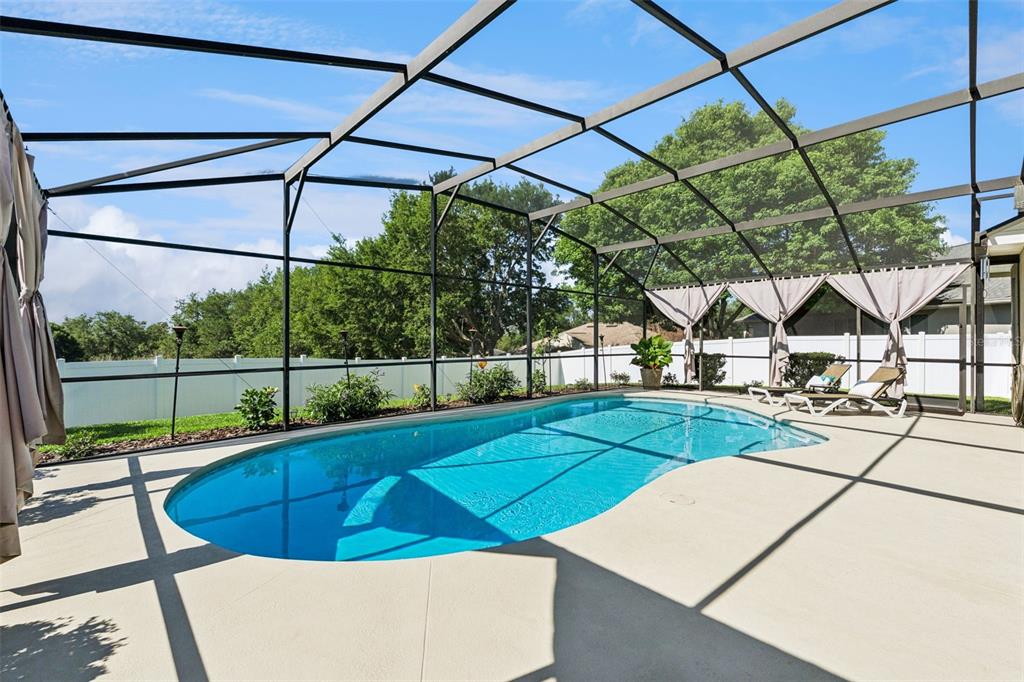 13319 Via Roma Circle Clermont, FL 34711 - Photo 32 of 43 a view of a swimming pool with a patio