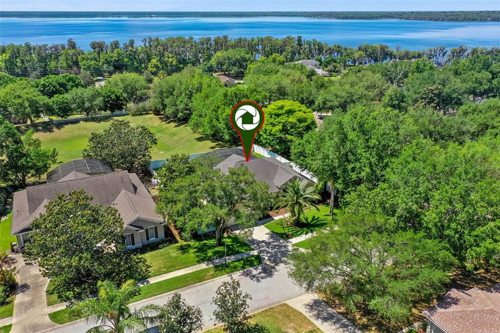13319 Via Roma Circle Clermont, FL 34711 - Photo 38 of 43 a view of a lush green forest with lots of trees