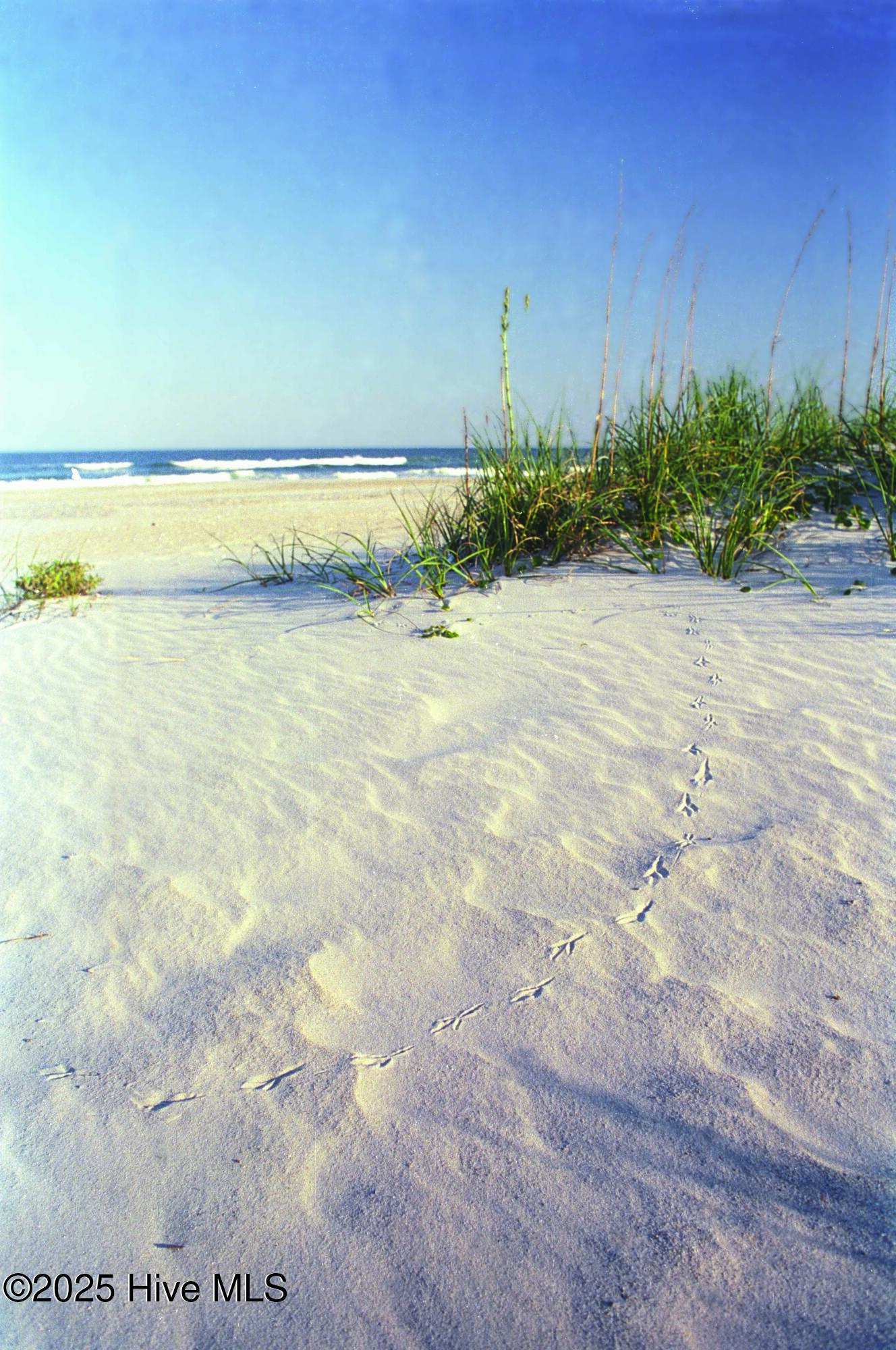 6839 Marston Point Southwest, Unit 101 Ocean Isle Beach, NC 28469 - Photo 9 of 34 17.Beach.ORP