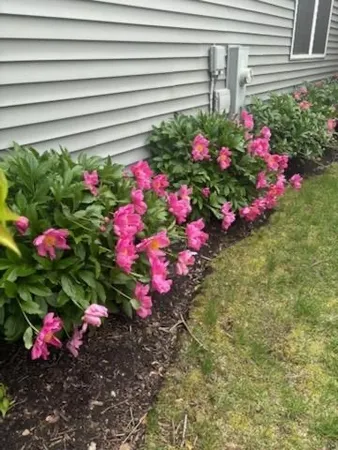 $365,000 | 21249 Lily Lake Lane, Crest Hill, IL 60403