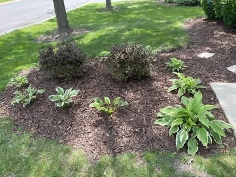 $365,000 | 21249 Lily Lake Lane, Crest Hill, IL 60403