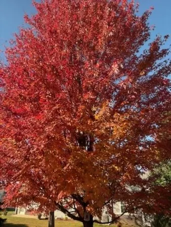 $365,000 | 21249 Lily Lake Lane, Crest Hill, IL 60403