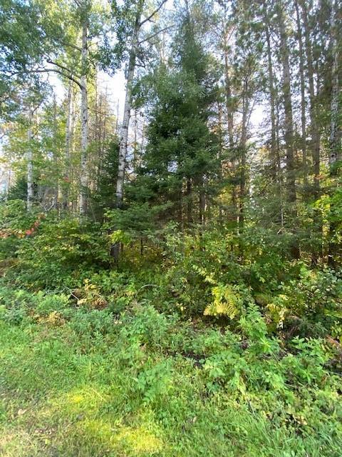 0 West 20 Mile Road Dafter, MI 49724 - Photo 2 of 4 Gallery Image 2